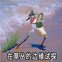 在边缘试探系列表情包大全