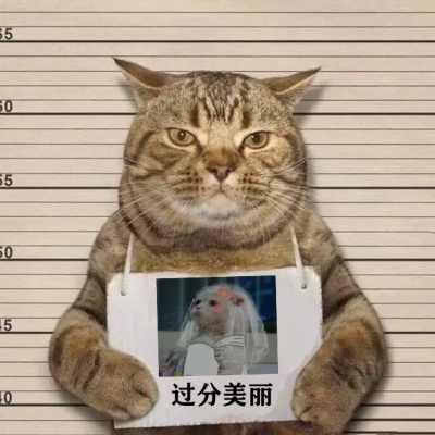 猫咪犯罪背景恶搞系列头像大全_搞笑猫咪头像下载_72qq网