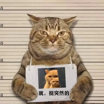 猫咪犯罪背景恶搞系列头像大全