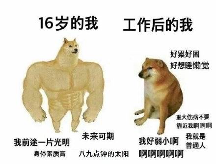 肌肉doge与小废狗表情包