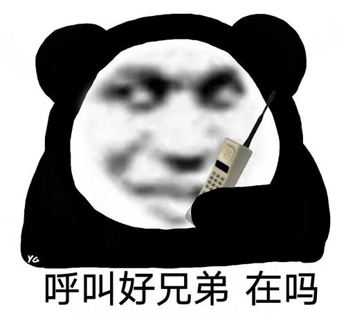 呼叫好兄弟在吗表情包