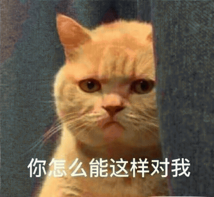 我妈不让我跟傻子玩橘猫表情包