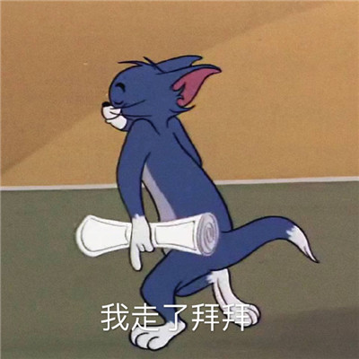 一组猫和老鼠的超级搞笑的日常沙雕表情包