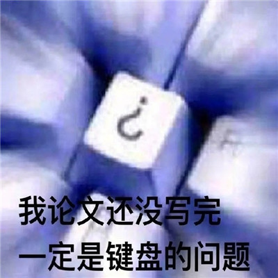 搞笑的论文表情包合集