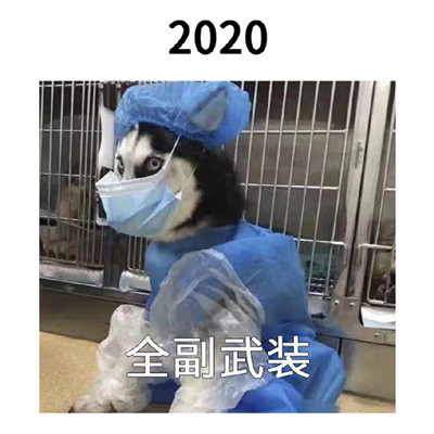 2021一组跨年的搞笑表情包