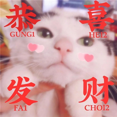 看上去超级可爱的猫咪拜年表情包