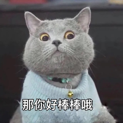 超可爱猫猫搞笑表情包