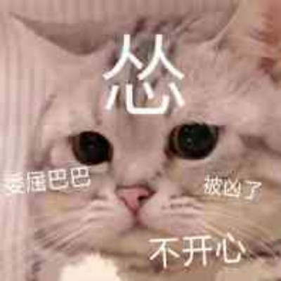 可爱猫猫认怂表情包