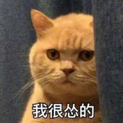 可爱猫猫认怂表情包