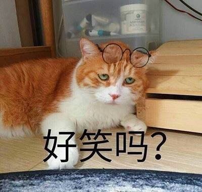 呆萌猫星人搞笑怼人表情包