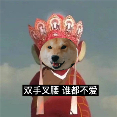 柴犬版新西游记搞笑表情包