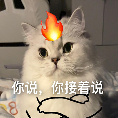 很有意思又非常呆萌的猫咪聊天表情包