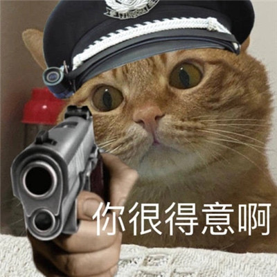 非常搞怪的小猫咪警察流行表情包下载_搞笑又很可爱的小猫咪警察表情