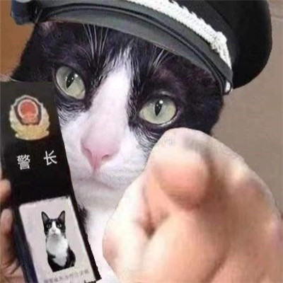 非常搞怪的小猫咪警察流行表情包