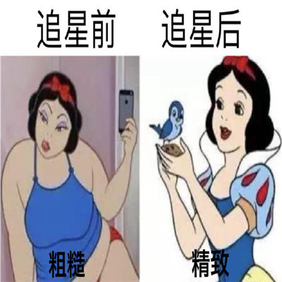 姐妹们追星前后对比搞笑表情包