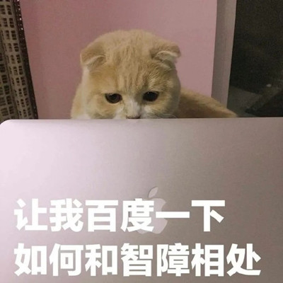 超可爱猫猫搞笑表情包